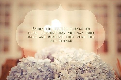 enjoy-the-little-things-in-life-quote-good-nice-quotes-pictures-pics-e1435588148870